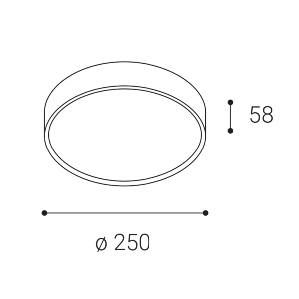 1234251d dimmensions