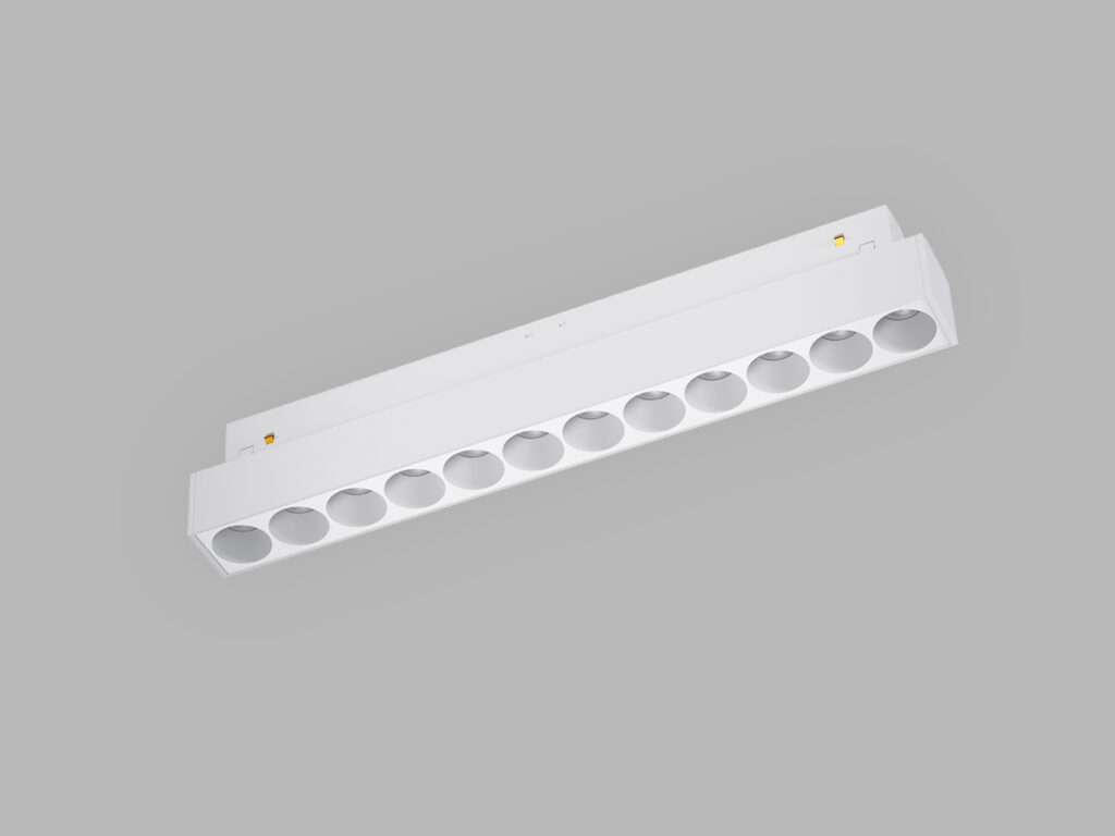 https://b2b.led2.eu/uploads/115/products/6801/maglaseriii24w1a.jpg
